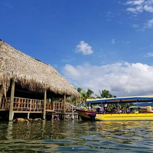 Meet your Posher, Rosendo